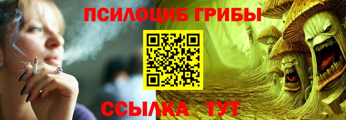 Псилоцибиновые грибы MAGIC MUSHROOMS Советский